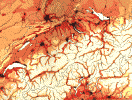 Population Density in Switzerland  93 Kb